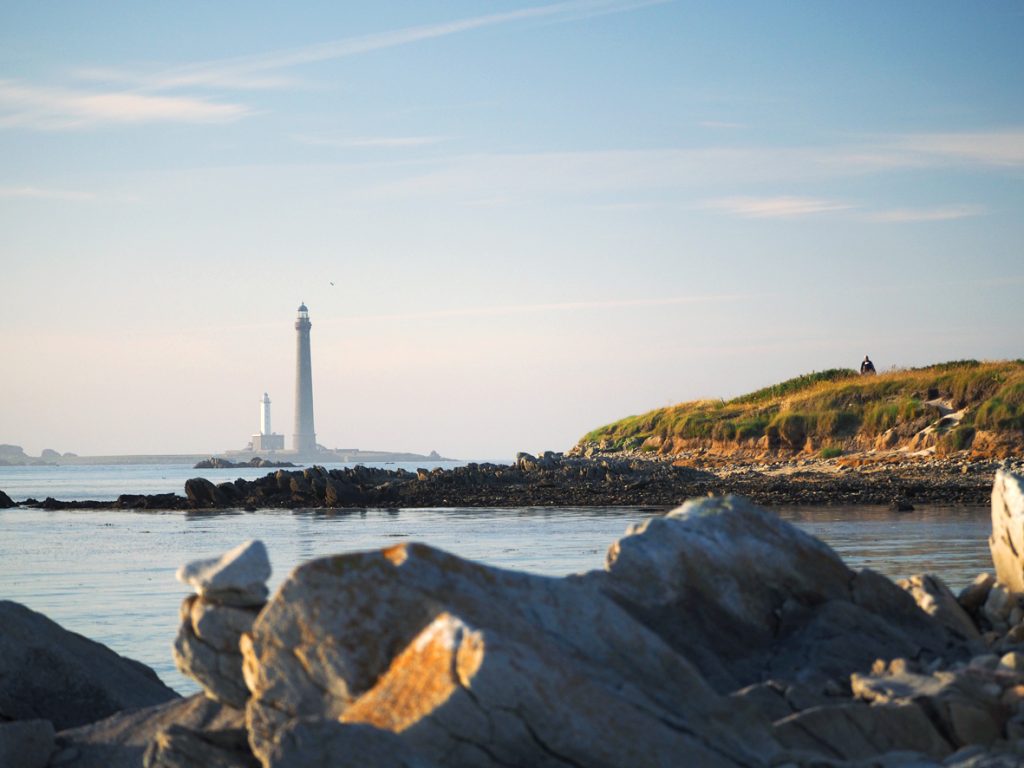 Pingouins du phare