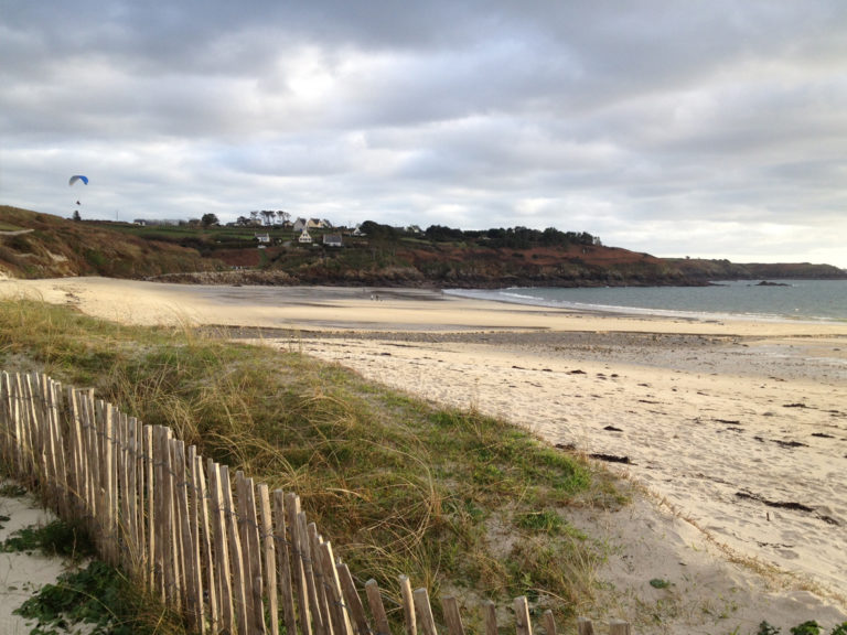 bleu idea 01 768x576