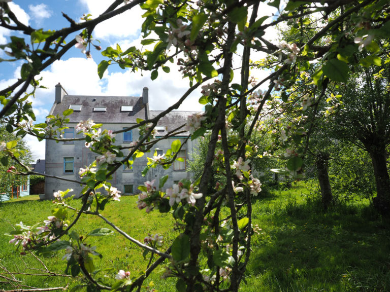 pingouins pont exterieurs 04 768x576